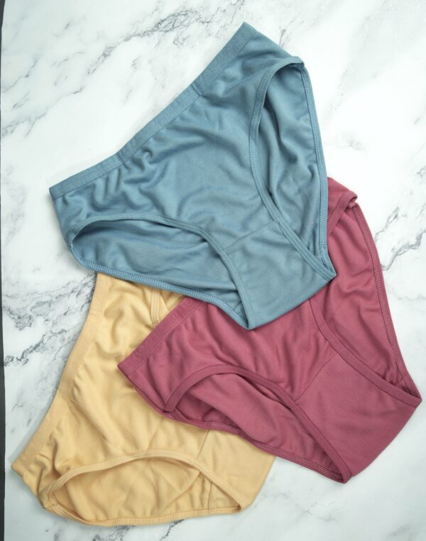Women Plain Panty - Image 4